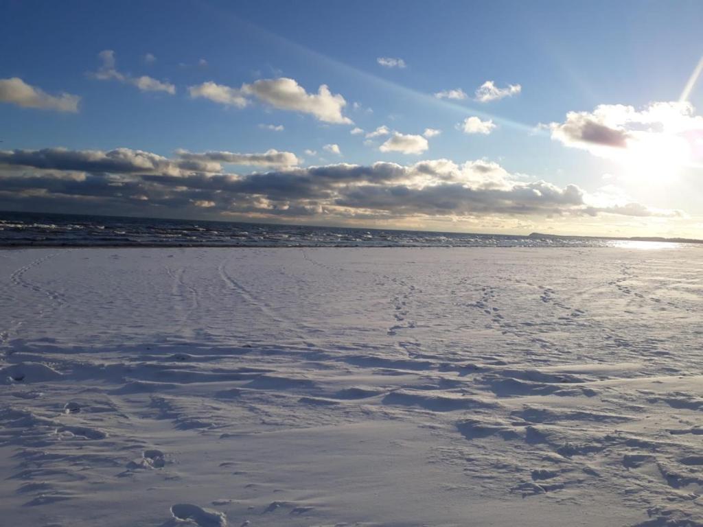 Ferienwohnung Mit Terrasse - Insel Usedom Trassenheide Dış mekan fotoğraf