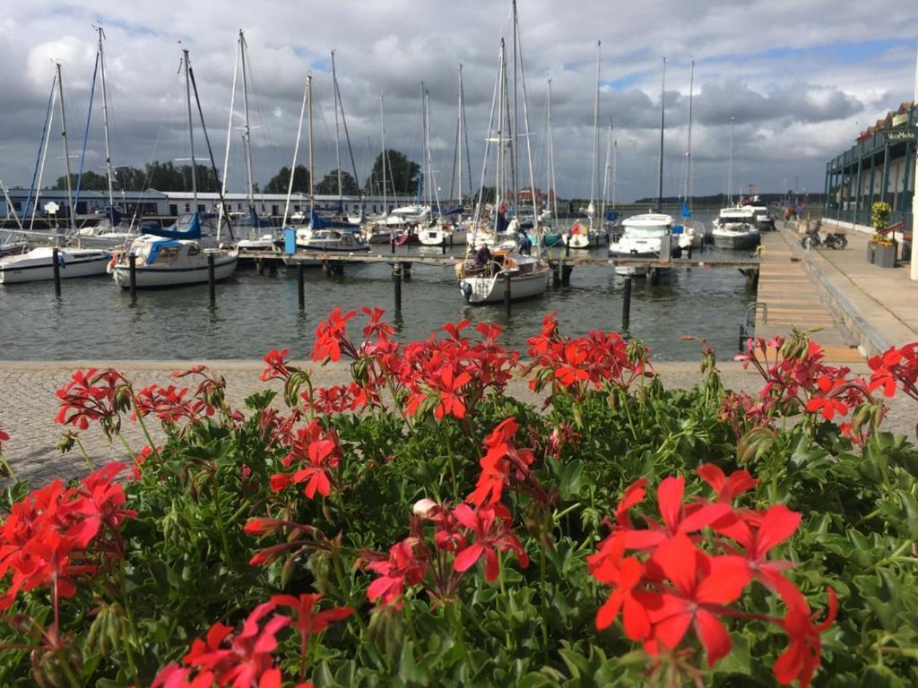 Ferienwohnung Mit Terrasse - Insel Usedom Trassenheide Dış mekan fotoğraf
