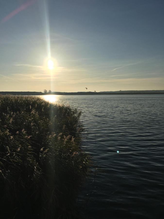 Ferienwohnung Mit Terrasse - Insel Usedom Trassenheide Dış mekan fotoğraf