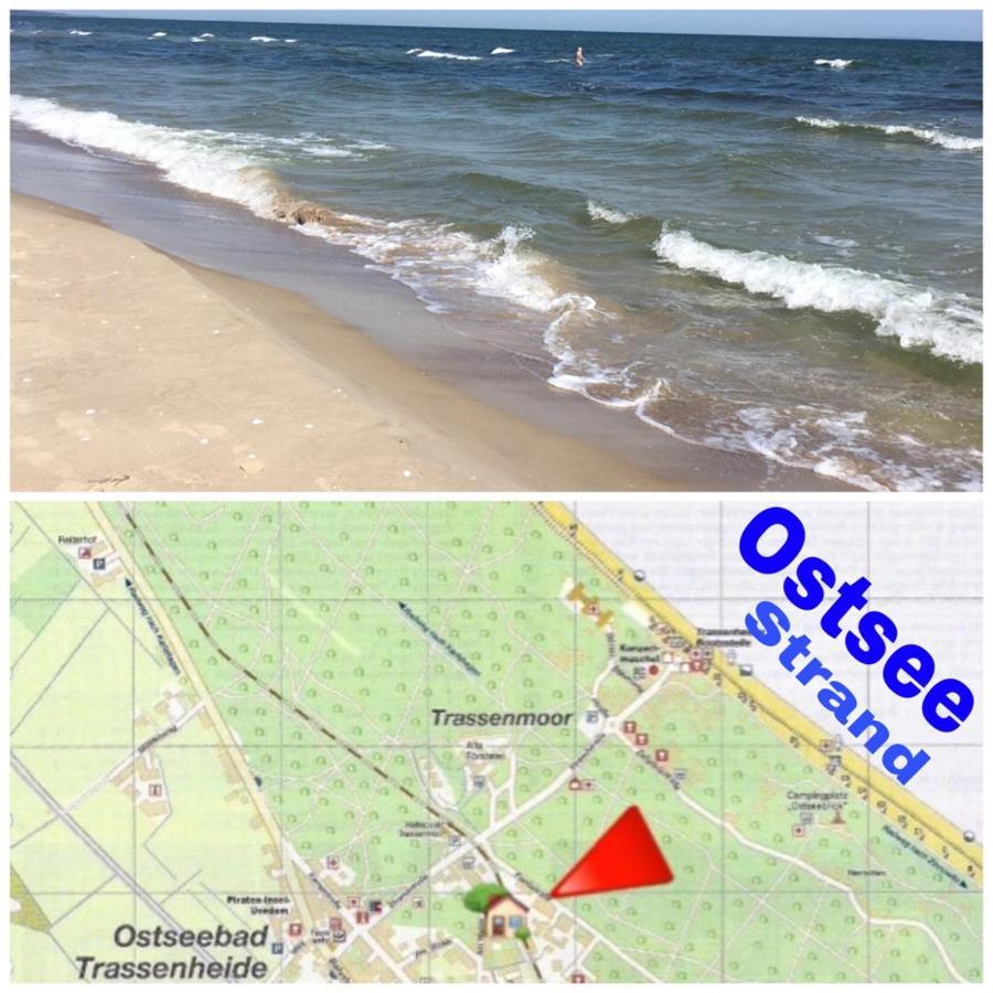 Ferienwohnung Mit Terrasse - Insel Usedom Trassenheide Dış mekan fotoğraf