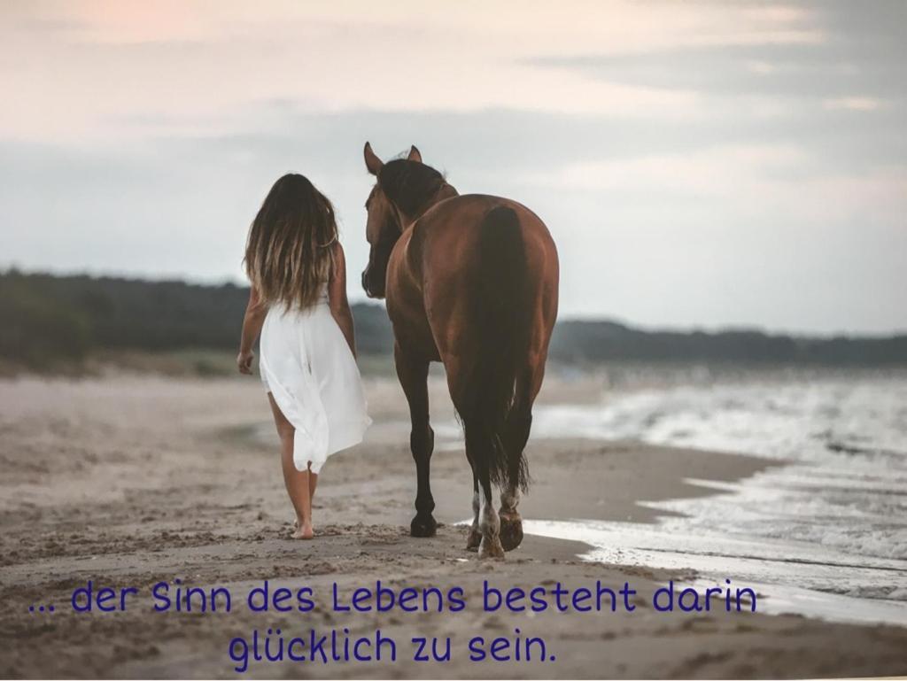 Ferienwohnung Mit Terrasse - Insel Usedom Trassenheide Dış mekan fotoğraf