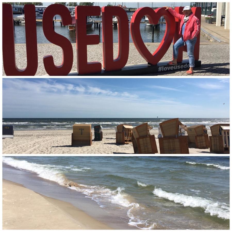Ferienwohnung Mit Terrasse - Insel Usedom Trassenheide Dış mekan fotoğraf