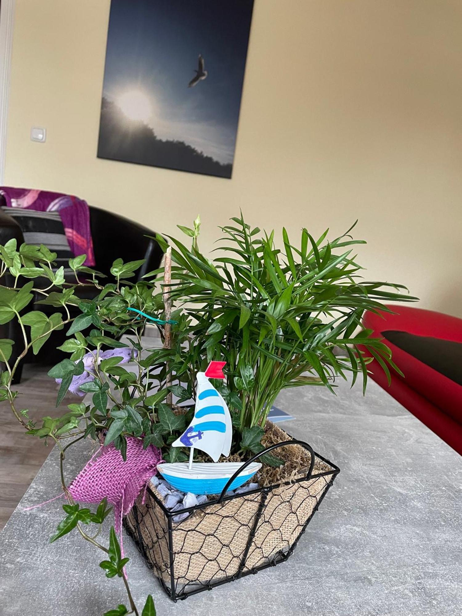 Ferienwohnung Mit Terrasse - Insel Usedom Trassenheide Dış mekan fotoğraf