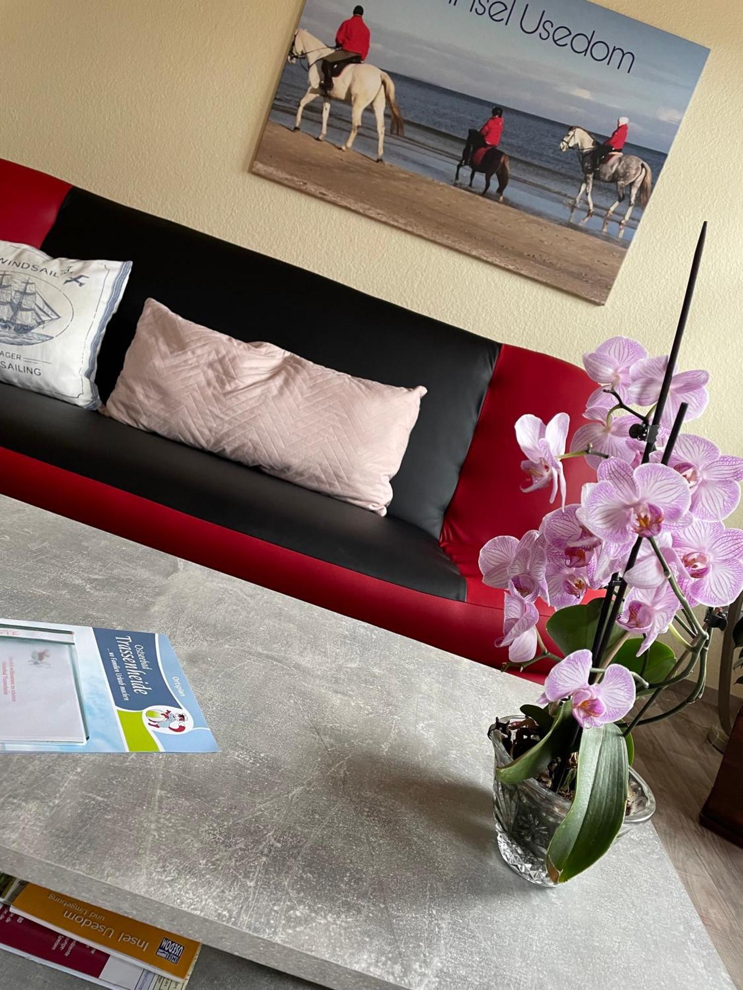 Ferienwohnung Mit Terrasse - Insel Usedom Trassenheide Dış mekan fotoğraf