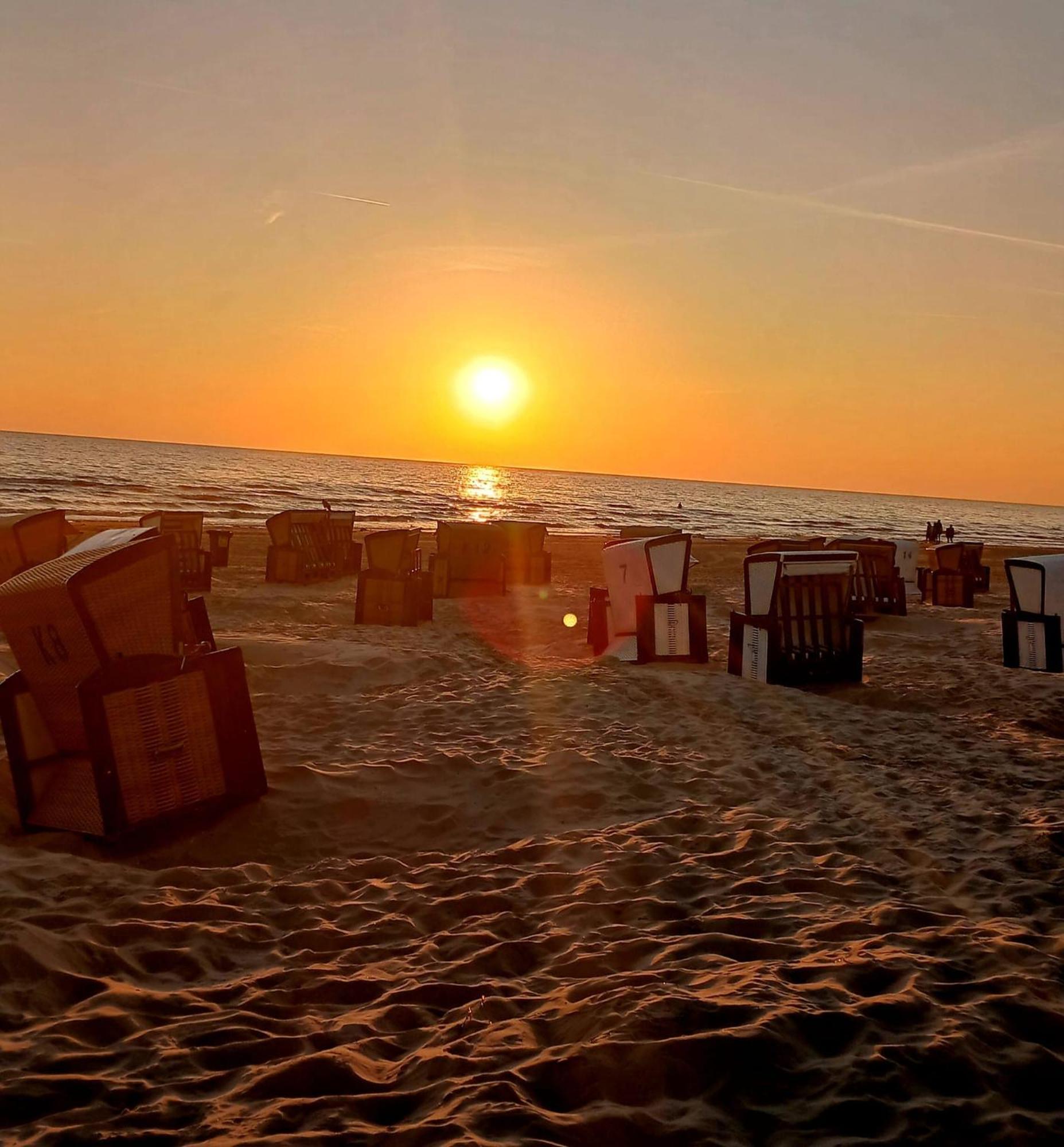 Ferienwohnung Mit Terrasse - Insel Usedom Trassenheide Dış mekan fotoğraf